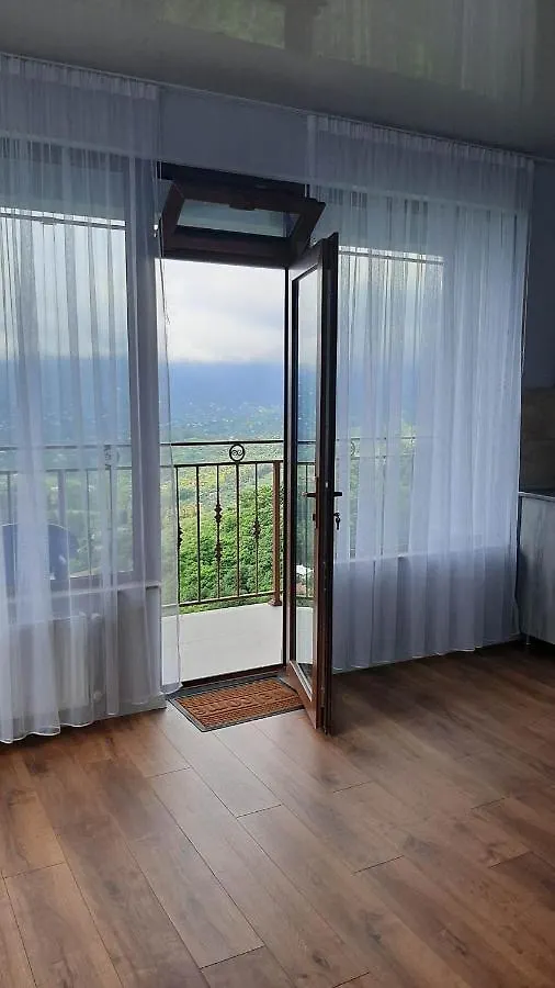 Gasthuis Oleg Gorgiladze Hotel Batoemi