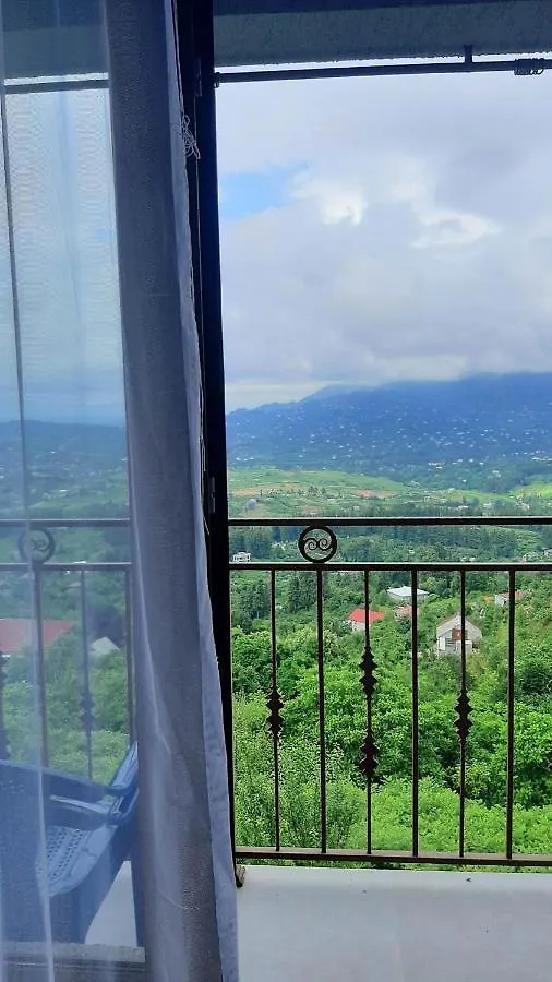 Gasthuis Oleg Gorgiladze Hotel Batoemi Georgië